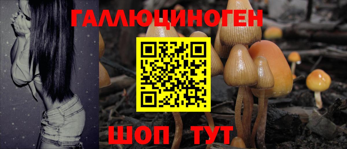 Галлюциногенные грибы мухоморы  Вход с VPN  Мариинск 